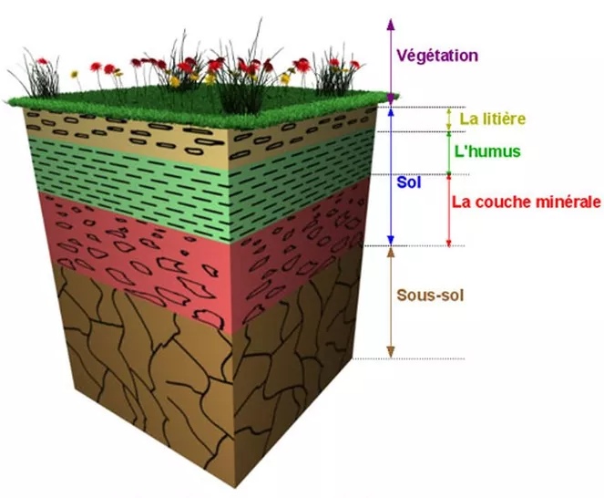 Répartition des charges dans les sols dans le Tarn avec étude de sol Tarn