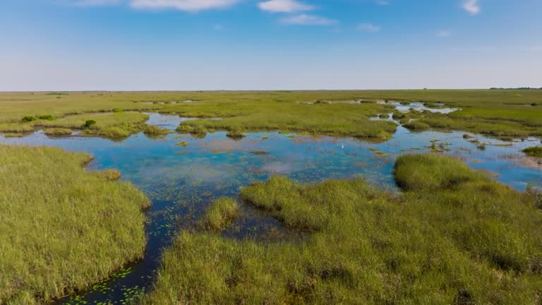 zones humides dans le Tarn avec étude de sol Tarn